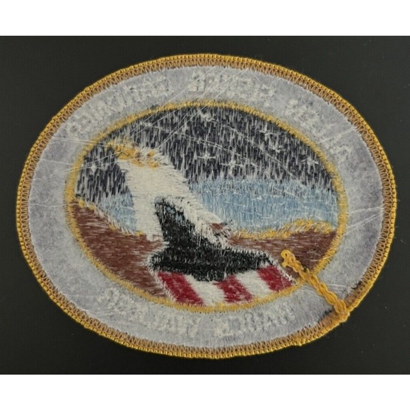 NASA Space Shuttle Discovery Mission Patch STS-51A - Picture 2 of 2